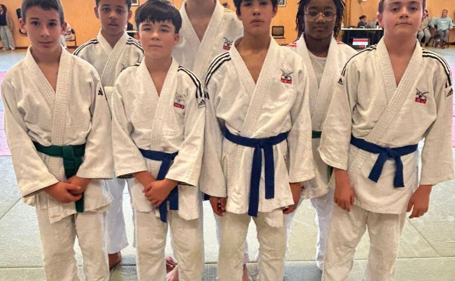 Championnat de zone minimes Parthenay 10 janvier 2026