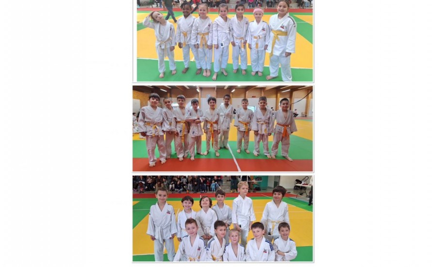 Animation sous poussins poussins Saint Julien l'Ars 28 février 2026